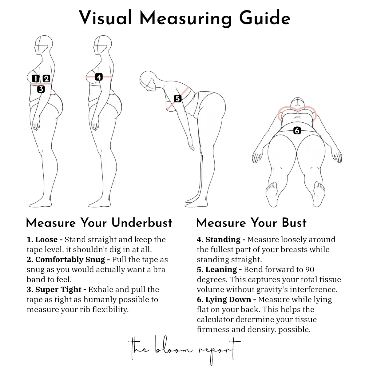 The Bloom Report - Visual Measuring Guide for measuring your breasts for the bra size calculator. Takes you through the six measurements step by step. Includes measurements for standing, leaning, and lying down, as well as underbust measurements.